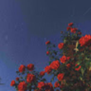 Meet your Posher, Emilie